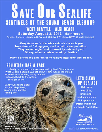 sandy-beachcleanup-poster2013