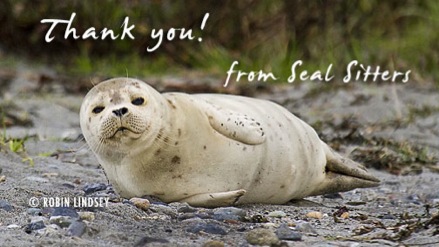 thankyou-sealsitters