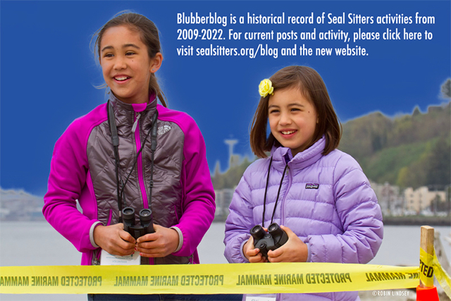 Robin_Lindsey_MG_2818-et-noemi-FLAT-final